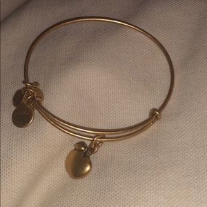 Alex and Ani Apple charm bracelet, never worn